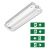 Noodverlichting - | - pan - | - 3w - | - wit - | - incl. - pictogrammen